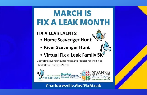 Community Corner Interview: Jill Greiner of the City of Charlottesville