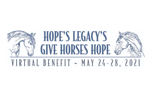 Community Corner Interview: Rosi Beachy of Hope’s Legacy Equine Rescue