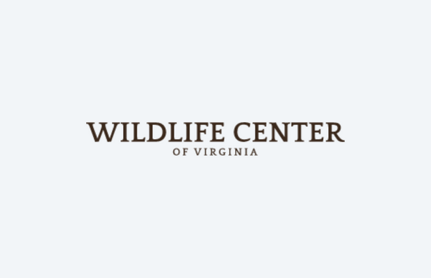 Community Corner Interview: Ed Clark of the Wildlife Center of Virginia